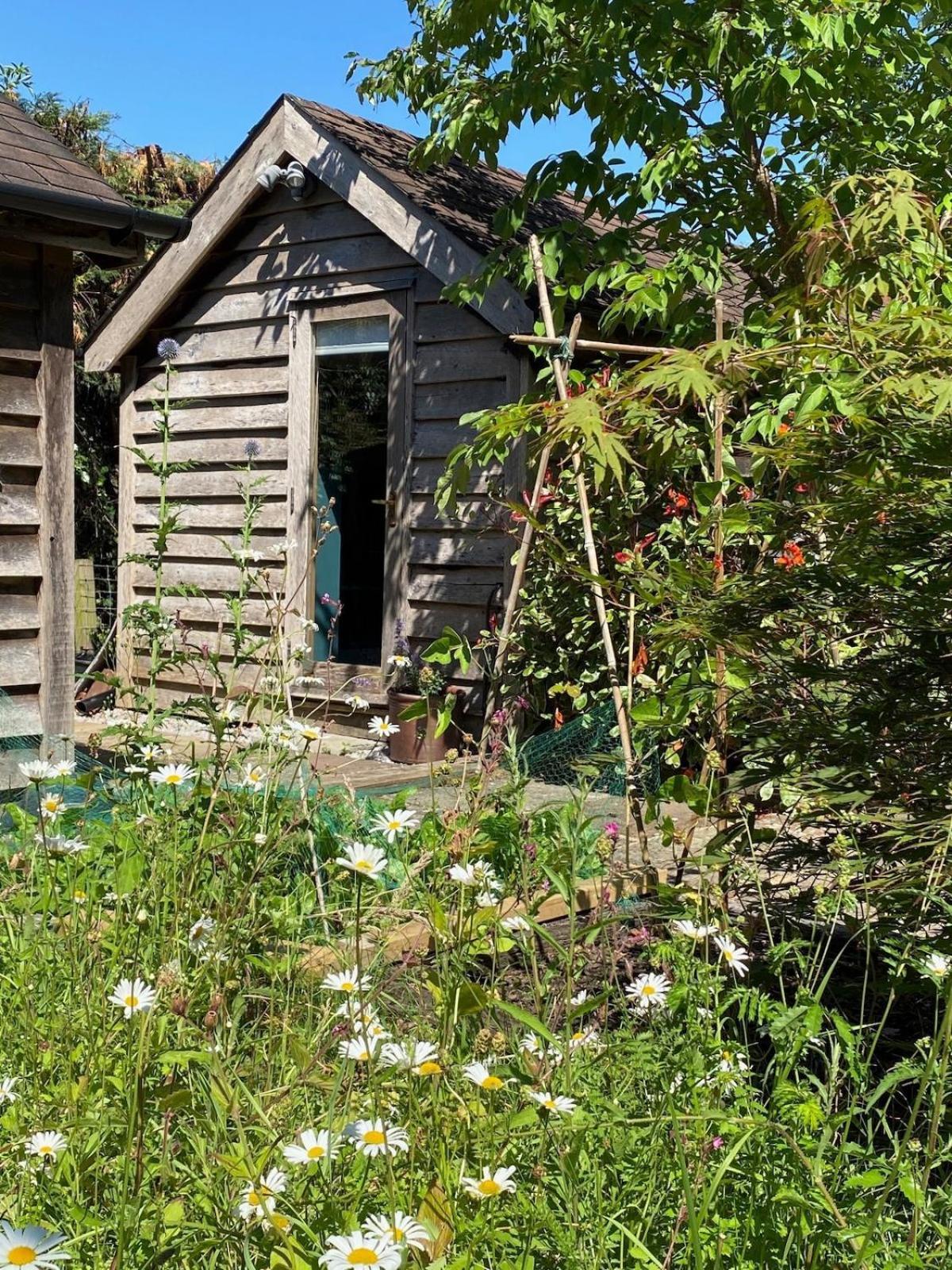 The Tool Shed Nestled In Idyllic Countryside Villa Linchmere Buitenkant foto