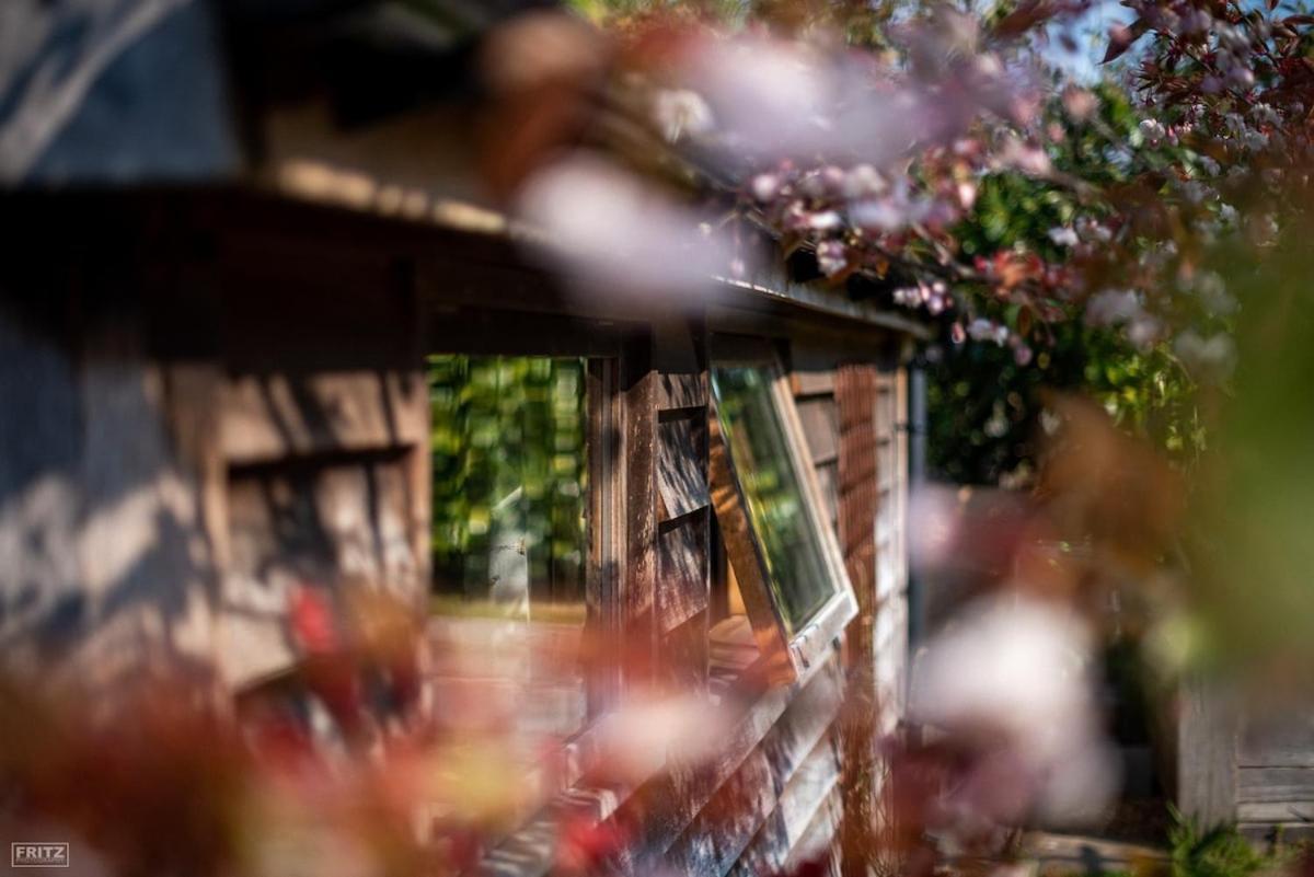 The Tool Shed Nestled In Idyllic Countryside Villa Linchmere Buitenkant foto