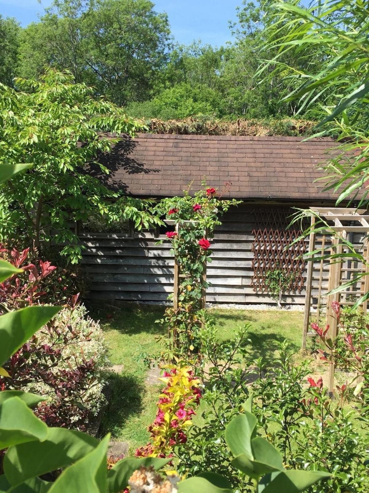 The Tool Shed Nestled In Idyllic Countryside Villa Linchmere Buitenkant foto