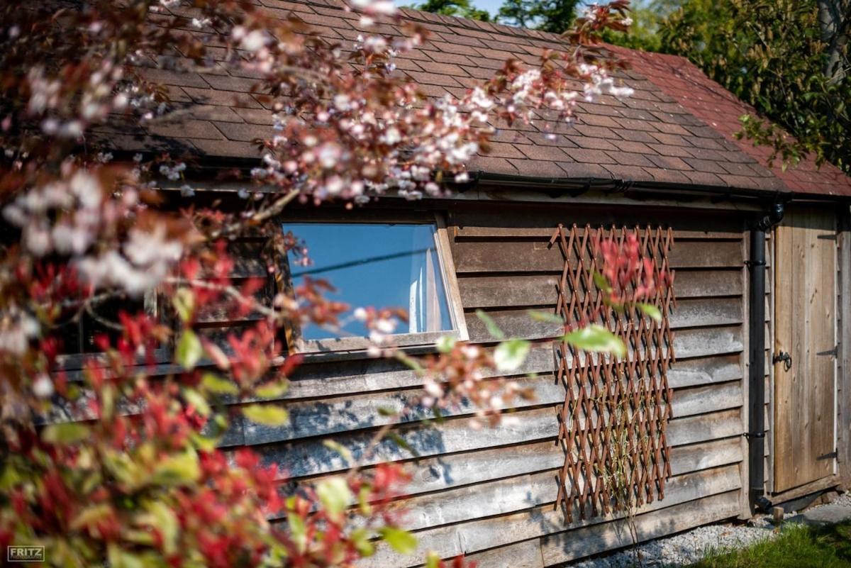 The Tool Shed Nestled In Idyllic Countryside Villa Linchmere Buitenkant foto