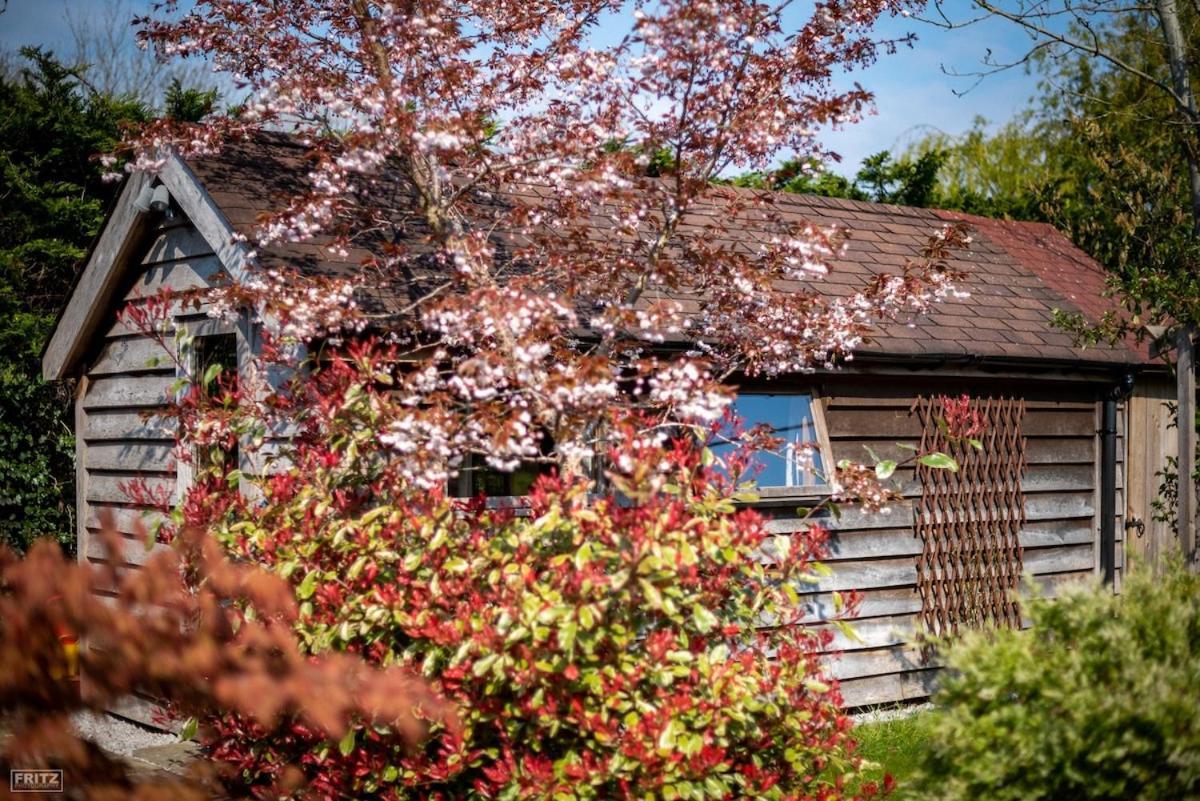The Tool Shed Nestled In Idyllic Countryside Villa Linchmere Buitenkant foto